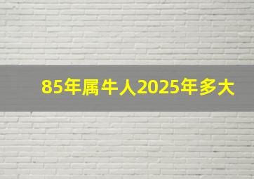 85年属牛人2025年多大