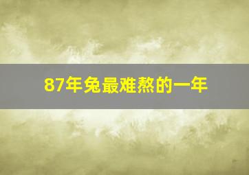 87年兔最难熬的一年