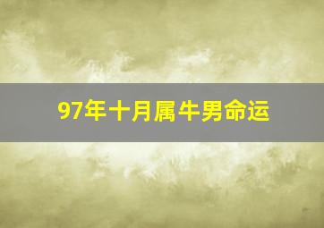 97年十月属牛男命运