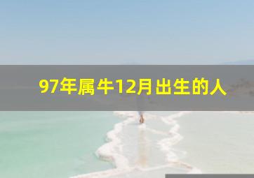 97年属牛12月出生的人