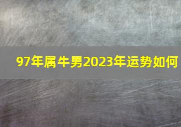 97年属牛男2023年运势如何