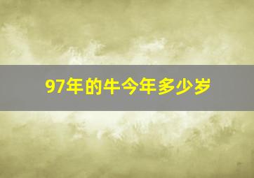 97年的牛今年多少岁