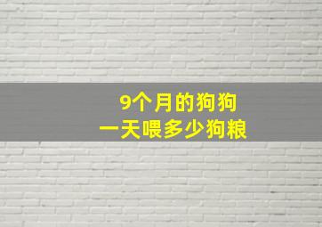 9个月的狗狗一天喂多少狗粮