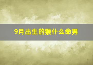 9月出生的猴什么命男