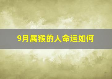 9月属猴的人命运如何