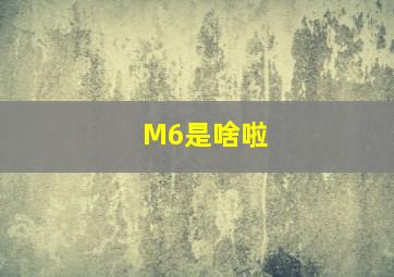 M6是啥啦