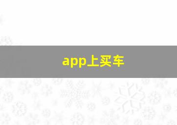 app上买车