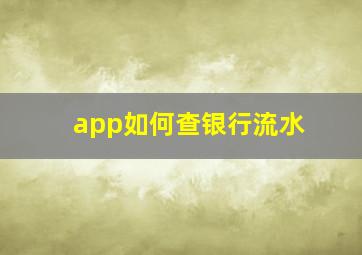 app如何查银行流水