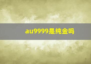 au9999是纯金吗