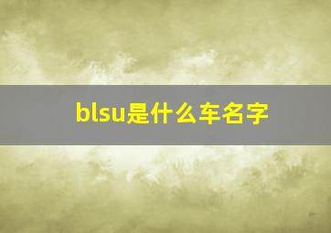 blsu是什么车名字