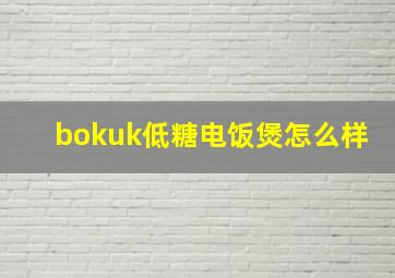 bokuk低糖电饭煲怎么样