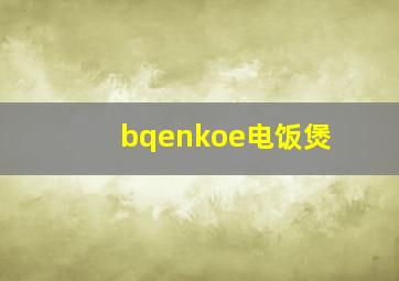 bqenkoe电饭煲