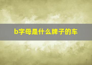 b字母是什么牌子的车