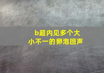 b超内见多个大小不一的卵泡回声