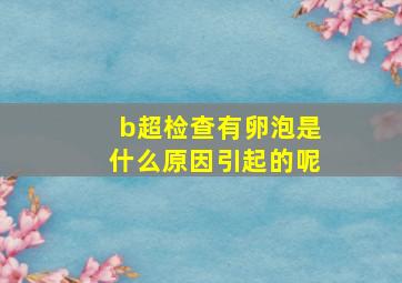 b超检查有卵泡是什么原因引起的呢