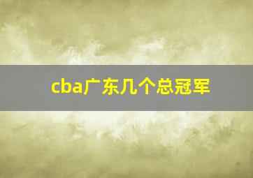 cba广东几个总冠军