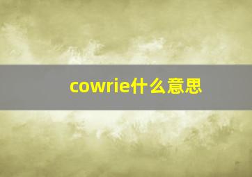 cowrie什么意思