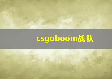 csgoboom战队