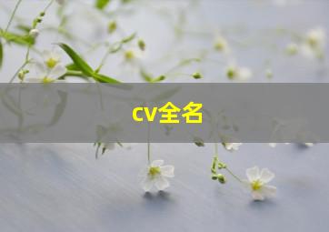 cv全名