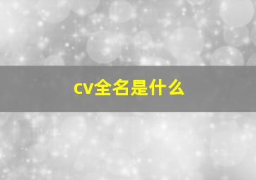 cv全名是什么