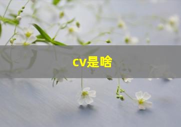 cv是啥