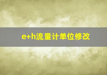 e+h流量计单位修改