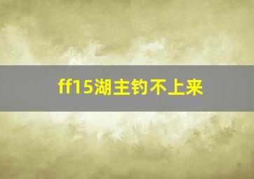 ff15湖主钓不上来