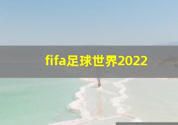 fifa足球世界2022