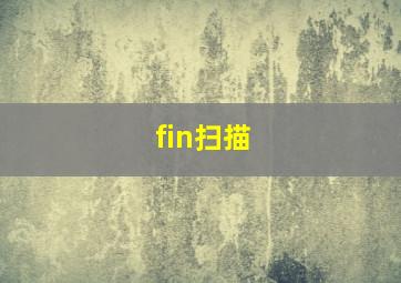 fin扫描