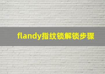 flandy指纹锁解锁步骤