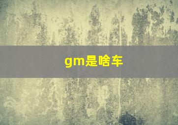 gm是啥车