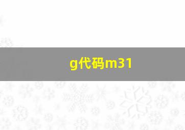 g代码m31