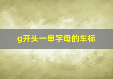 g开头一串字母的车标