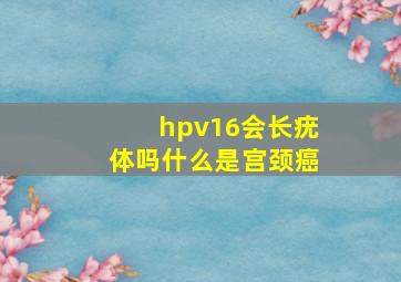 hpv16会长疣体吗什么是宫颈癌