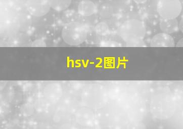 hsv-2图片