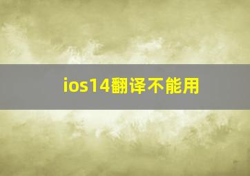 ios14翻译不能用