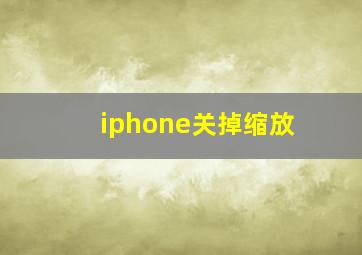 iphone关掉缩放