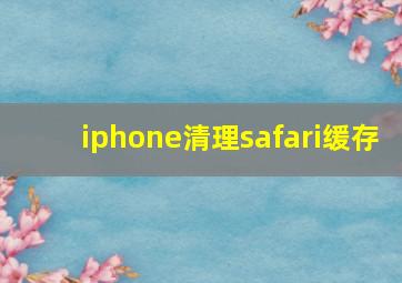 iphone清理safari缓存