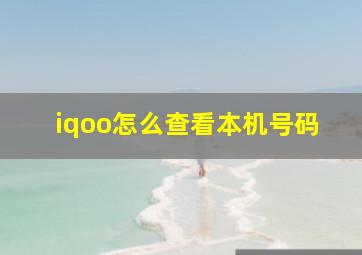 iqoo怎么查看本机号码