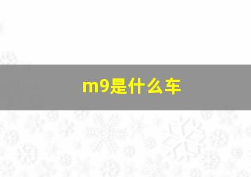 m9是什么车