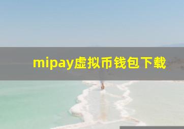 mipay虚拟币钱包下载