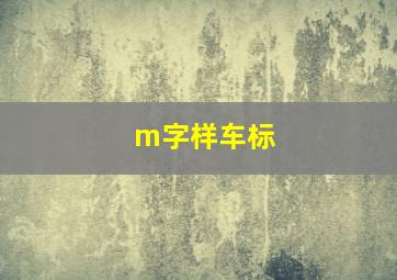 m字样车标