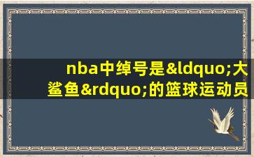 nba中绰号是“大鲨鱼”的篮球运动员是