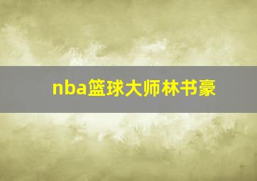 nba篮球大师林书豪