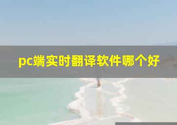 pc端实时翻译软件哪个好