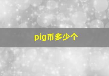 pig币多少个