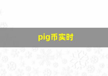 pig币实时