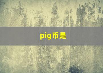 pig币是