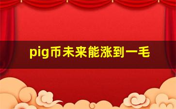 pig币未来能涨到一毛