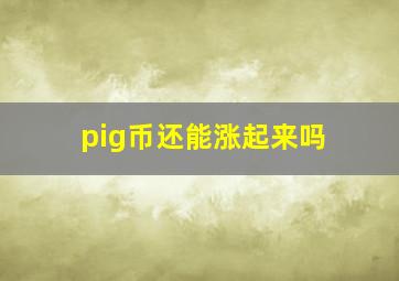 pig币还能涨起来吗